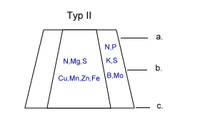 Cultan-Becherdepot Typ II